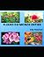 FLEURS DU MONDE ENTIER: 100...