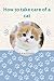 How to take care of a cat: What cats can and can't eat, how to train, bath, care for, play, understand, and communicate with your amazing pet.