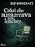 Colui che sussurrava nelle tenebre (Italian Edition)