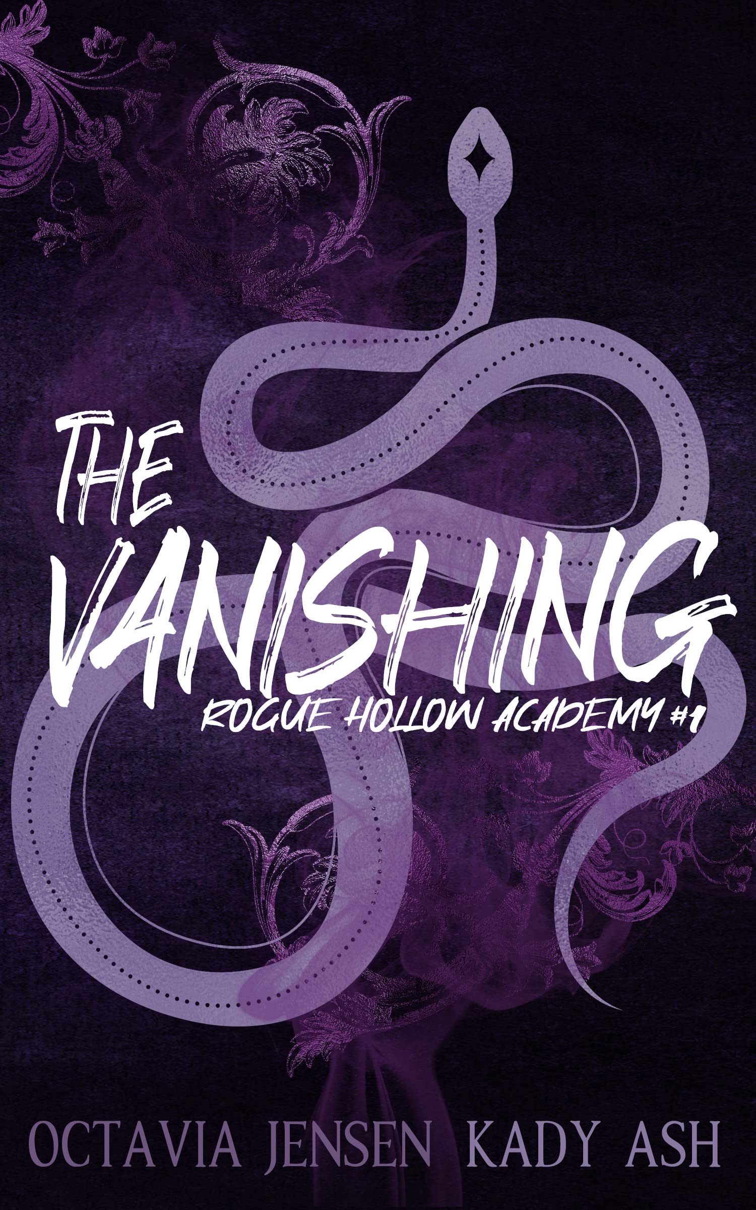 The Vanishing (Rogue Hollow Academy #1)
