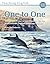 Teaching English One to One: How to teach one to one classes - for the professional English language teacher