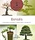 Bonsais (Jardineria Facil/ Easy Gardening) by Remy Samson
