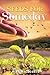 Seeds For Someday by Mike MacDonald