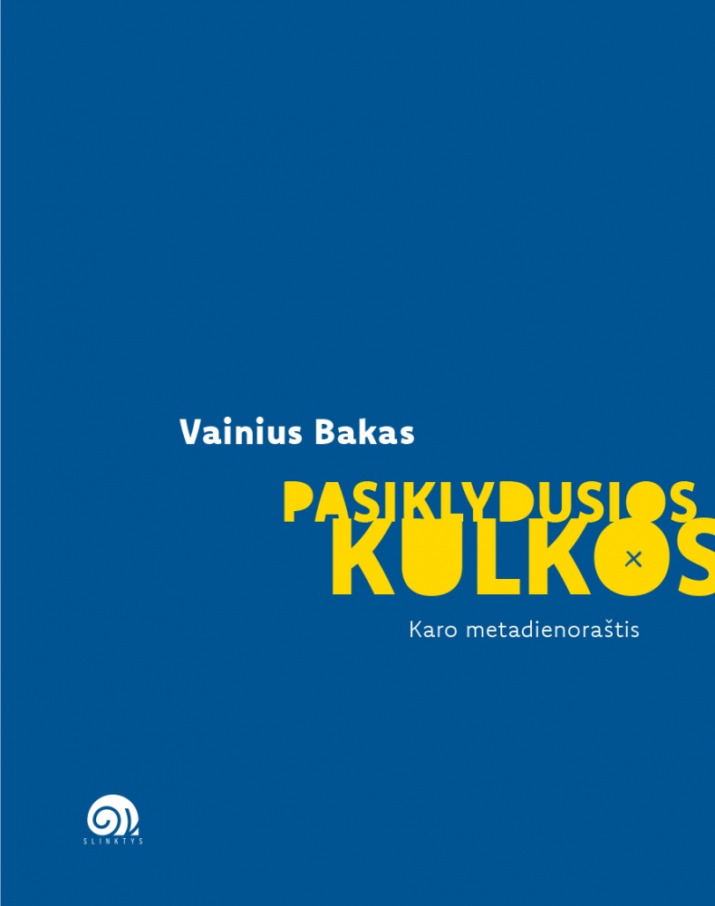 Pasiklydusios kulkos (Paperback)
