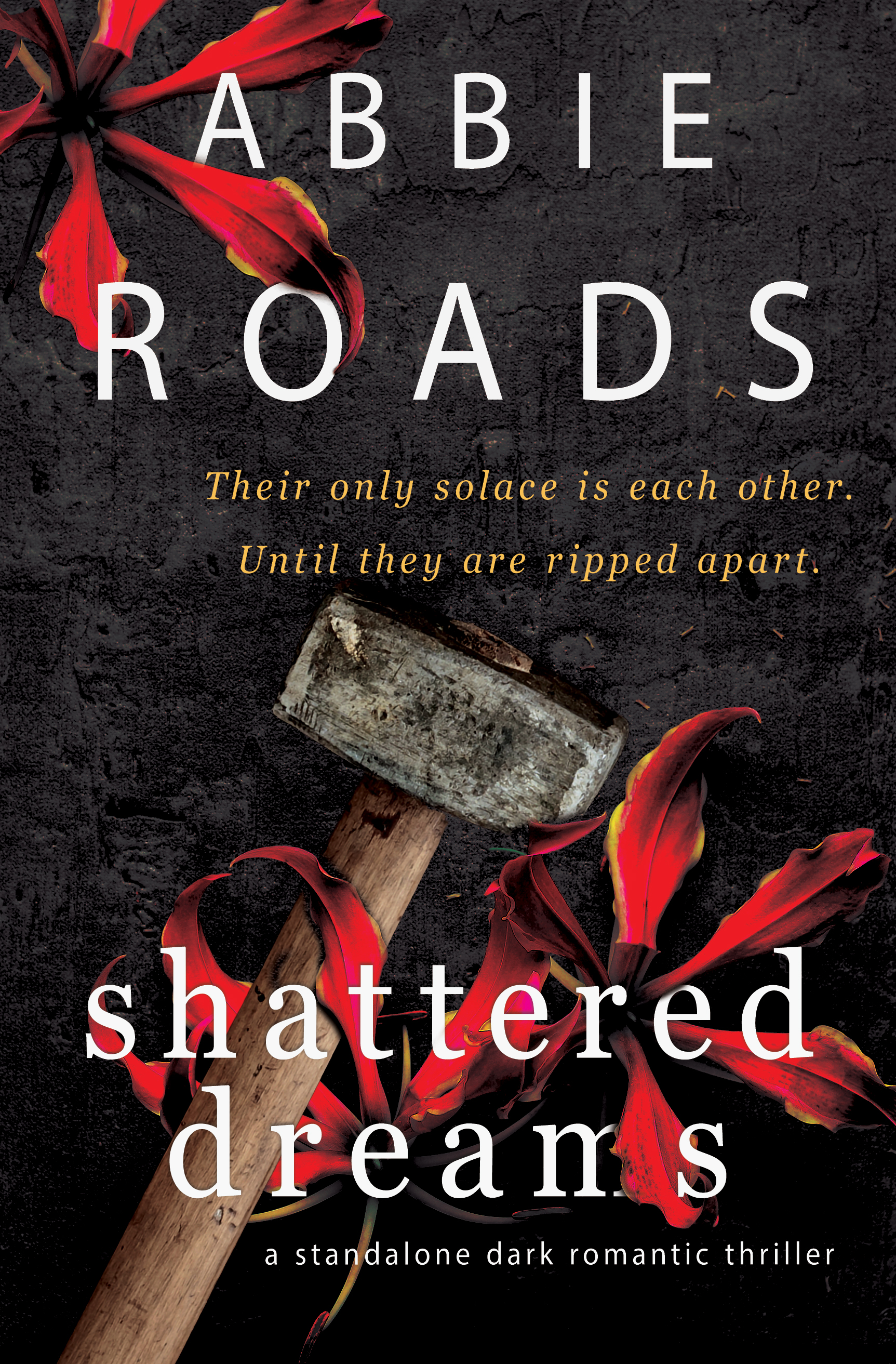 Shattered Dreams (Beautiful Nightmare, #3)