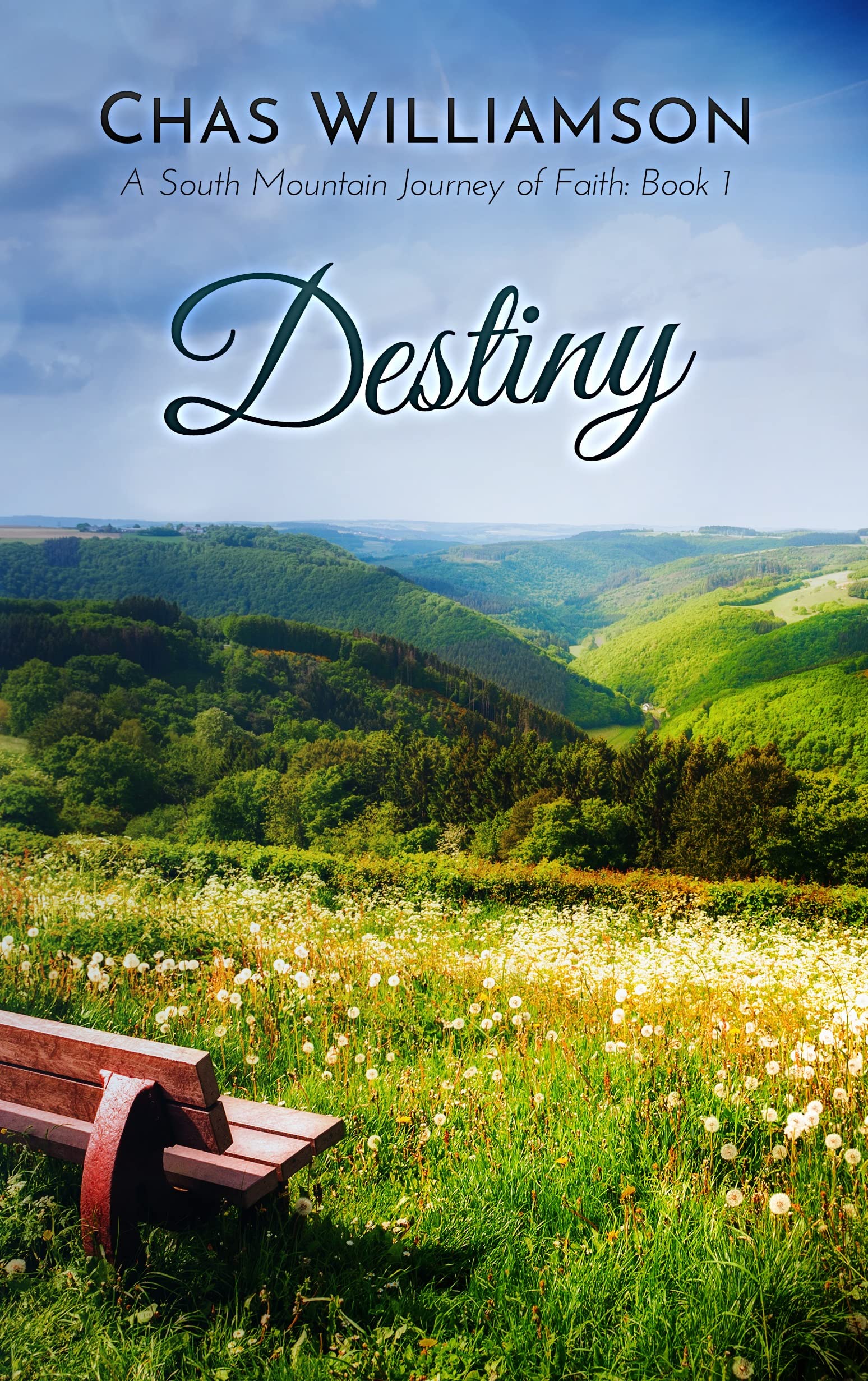 Destiny (South Mountain, #1)