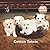 Cotton Tulear Calendar 2023...