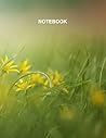 NOTEBOOK: Notebook: Journal: Notebook Yellow flower field cover 120 pages - 8.5 x 11 inches (Letter size)