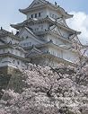 Notebook: Himeji - Modern Styled Design Blank Lined Paperback Notebook