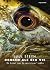 Denken als een vis by Juul Steyn