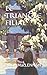 LE TRIANGLE FILIAL