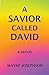 A Savior Called David