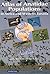 Atlas of Anatidae Populations in Africa and Western Eurasia by Derek A. Scott
