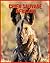 Chien Sauvage Africain: Inf...