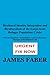 Bicultural Identity Integration and Biculturalism of the Larg... by James Faber