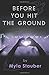 Before You Hit the Ground by Myla Stauber