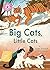 Big Cats, Little Cats: Inde...