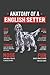 Anatomy Of A English Setter...