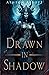 Called by Darkness (Goddesses of the Morrigan #1)