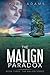 The Malign Paradox (The Mal...