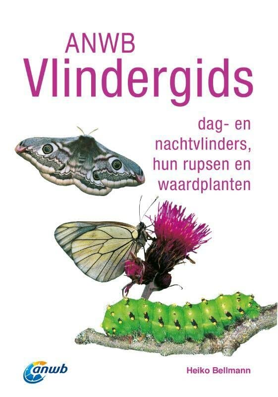 ANWB vlindergids: dag- en nachtvlinders, hun rupsen en waardplanten (Paperback)