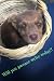 CUTE PUPPY JOURNAL! Will yo...