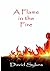 A Flame in the Fire by David Sykes