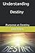 Understanding Destiny