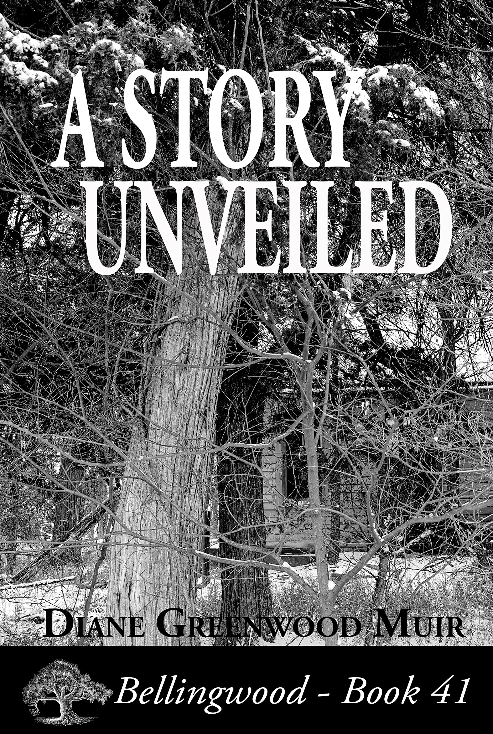 A Story Unveiled (Bellingwood, #41)