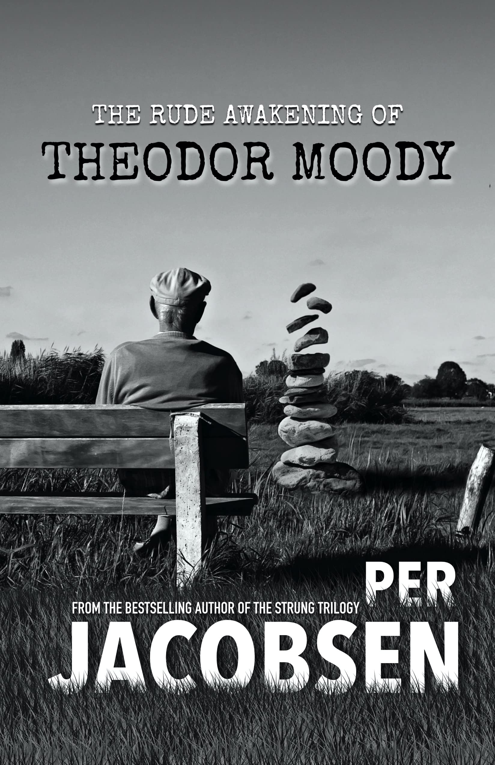 The Rude Awakening of Theodor Moody (Kindle Edition)