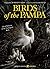 Birds of the Pampa. Life & ...