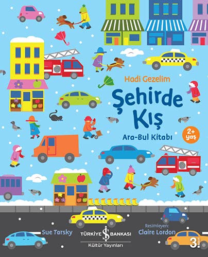 Ara Bul Kitabi - Hadi Gezelim Sehirde Kis (Paperback)