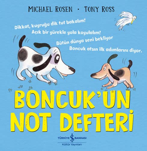 Boncuk'un Not Defteri (Paperback)