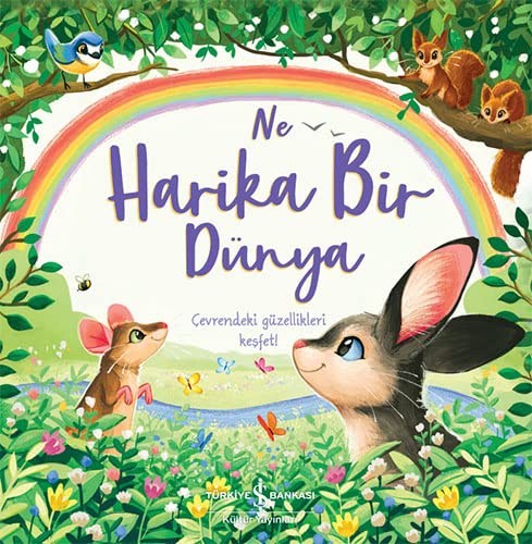 Ne Harika Bir Dünya: Çevrendeki Güzellikleri Kesfet! (Paperback)