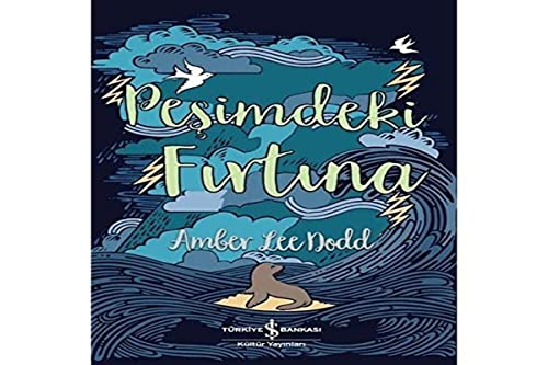 Pesimdeki Firtina (Paperback)