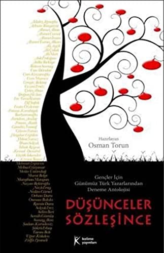 Dusunceler Sozlesince (Paperback)
