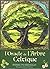 L'oracle de l'arbre celtique by Sharlyn Hidalgo