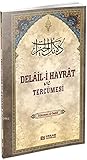 Delail-i Hayrat v...