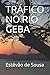 TRÁFICO NO RIO GEBA by Estêvão de Sousa