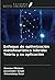 Enfoque de optimización metaheurística híbrida: Teoría y su aplicación (Spanish Edition)