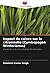 Impact du cuivre sur la cit...