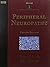 Peripheral Neuropathy 2 vols by Peter J. Dyck