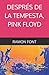 DESPRÉS DE LA TEMPESTA, PIN...