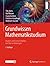 Grundwissen Mathematikstudi...