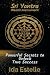 Sri Yantra Wealth Instrumen...