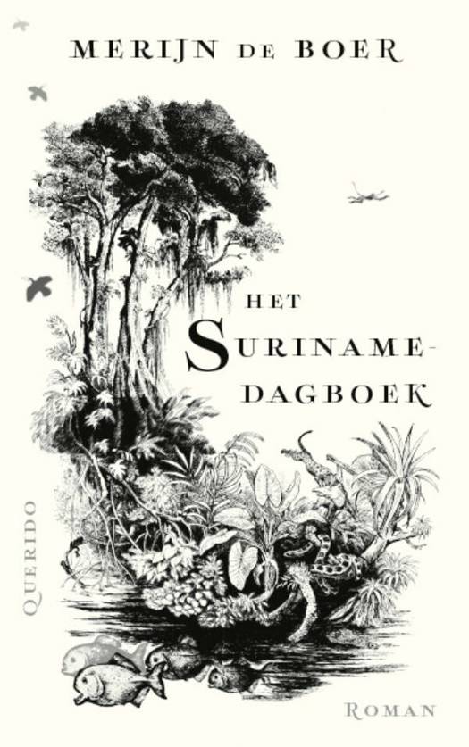 Het Surinamedagboek (Kindle Edition)