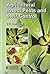 Agricultural Insect Pests and Their Control Awasthi, V. B. by V.B. Awasthi