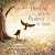 The Owl with No Wisdom to Share by Caroline Poole