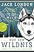 Ruf der Wildnis - The Call of the Wild (zweisprachige Ausgabe, dt.-engl.)