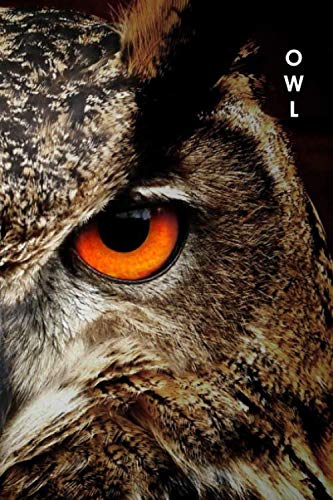 Owl (Paperback)